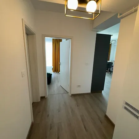 Daiana Apartament Timisoara Exterior photo